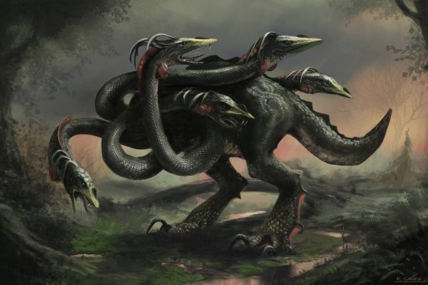 Kraken tor зеркало