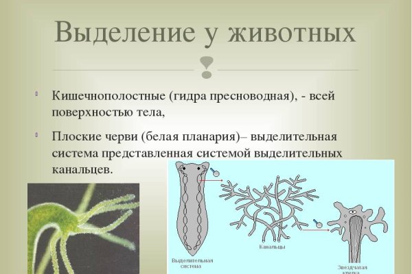 Ссылки для даркнета